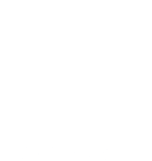 mDengg